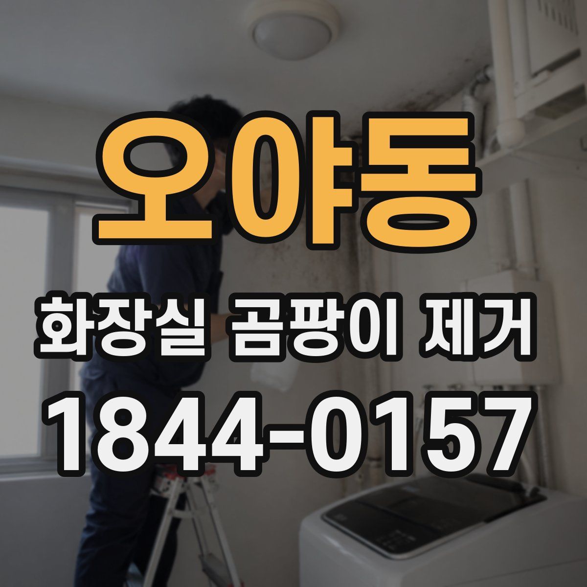 오야동 화장실 곰팡이 제거