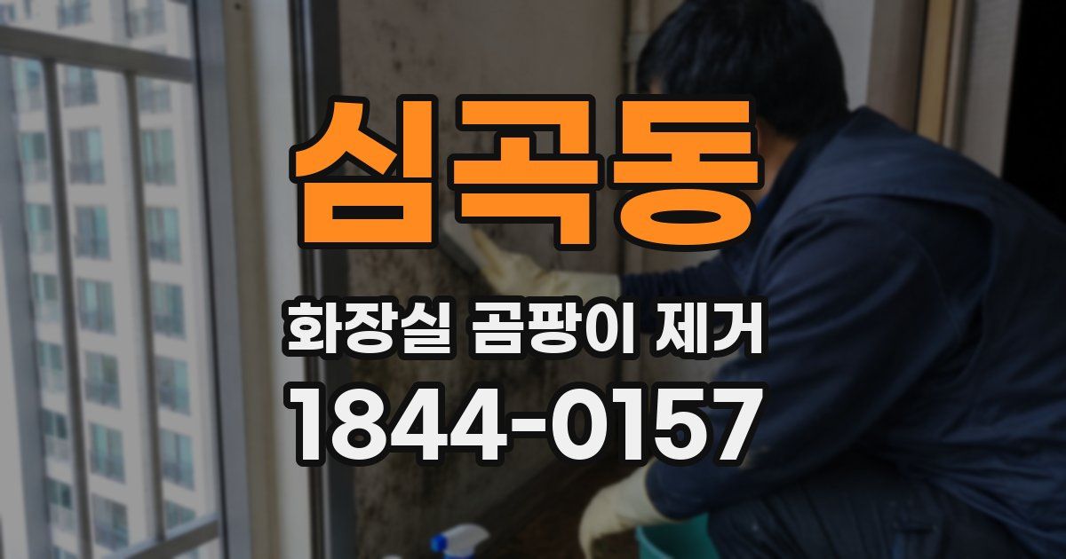 심곡동 화장실 곰팡이 제거