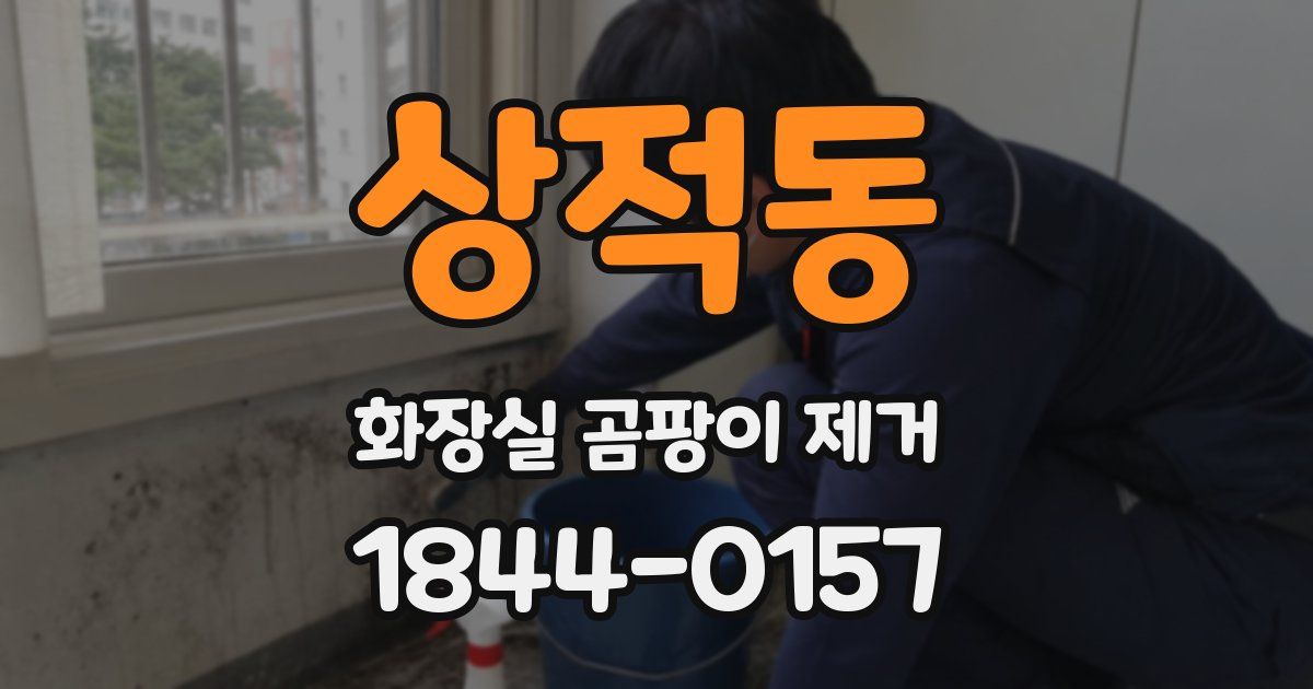 상적동 화장실 곰팡이 제거