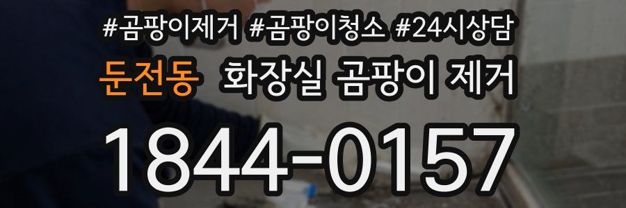 둔전동 화장실 곰팡이 제거