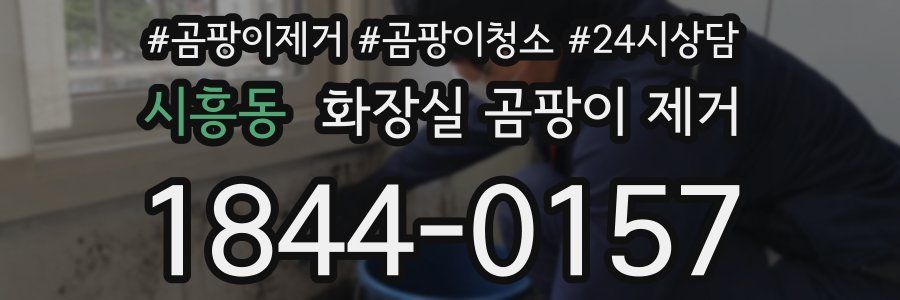 시흥동 화장실 곰팡이 제거