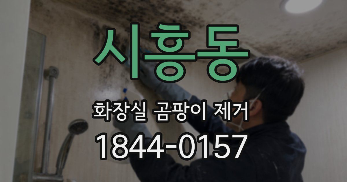 시흥동 화장실 곰팡이 제거