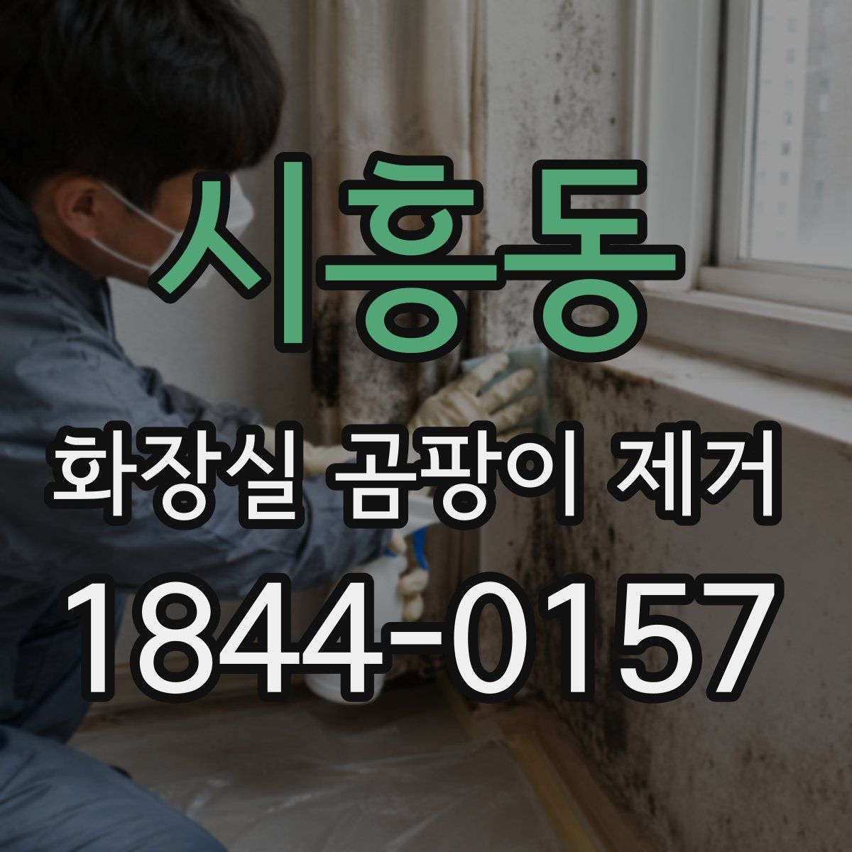 시흥동 화장실 곰팡이 제거