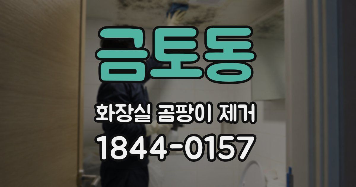 금토동 화장실 곰팡이 제거