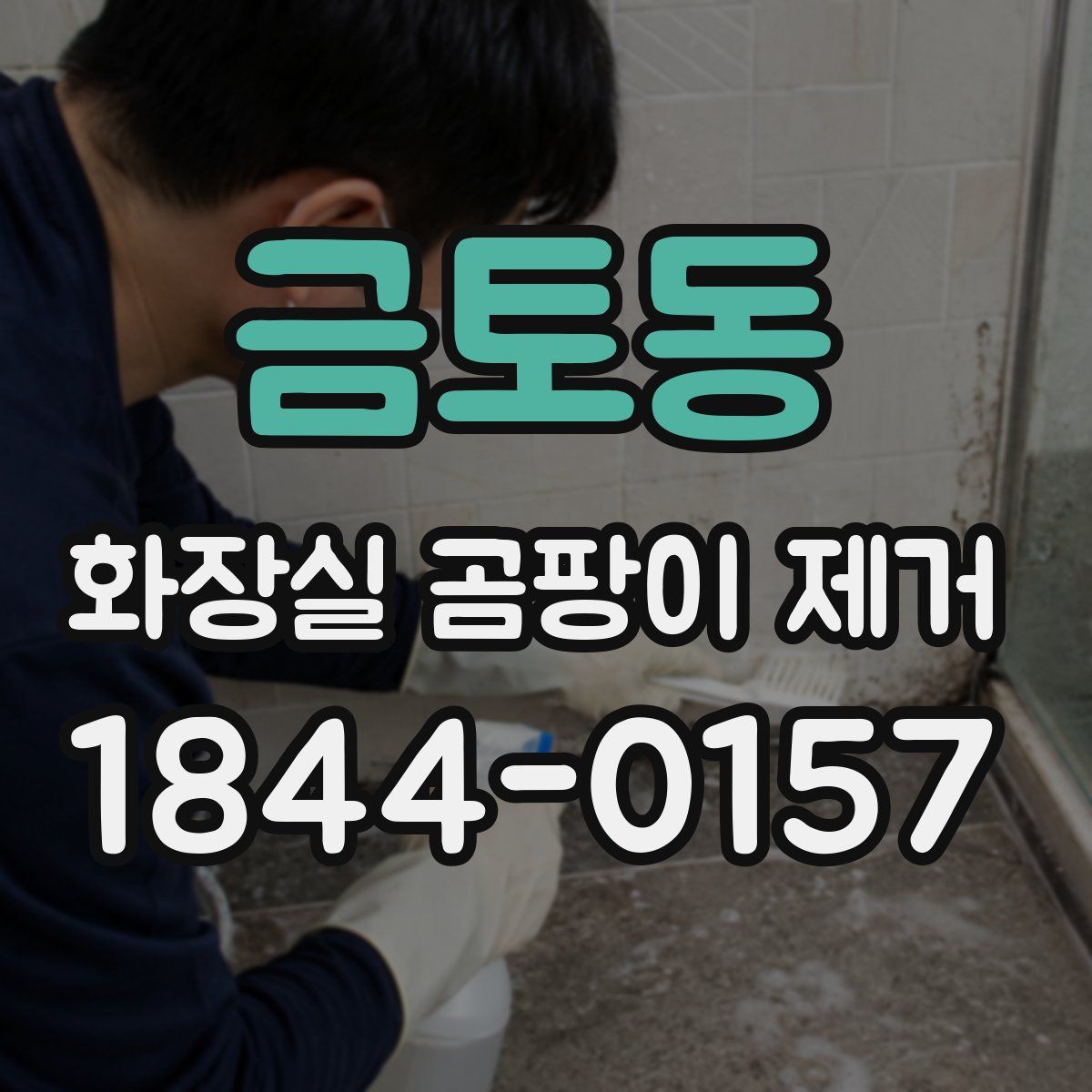 금토동 화장실 곰팡이 제거