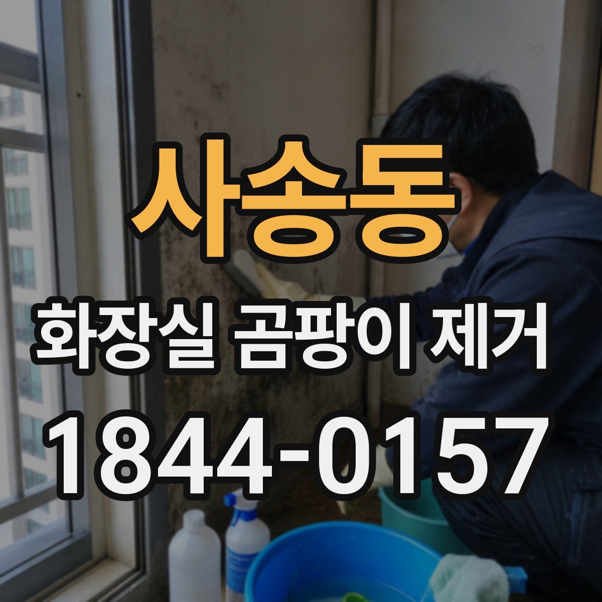 사송동 화장실 곰팡이 제거