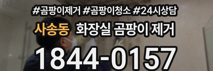 사송동 화장실 곰팡이 제거