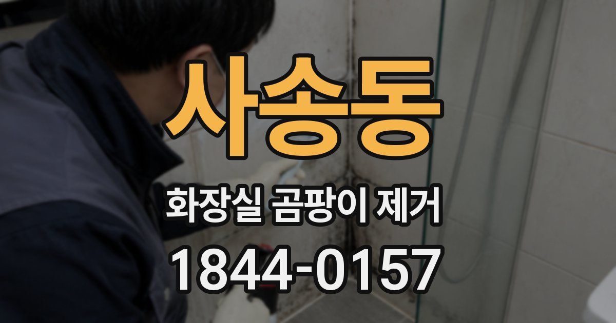 사송동 화장실 곰팡이 제거
