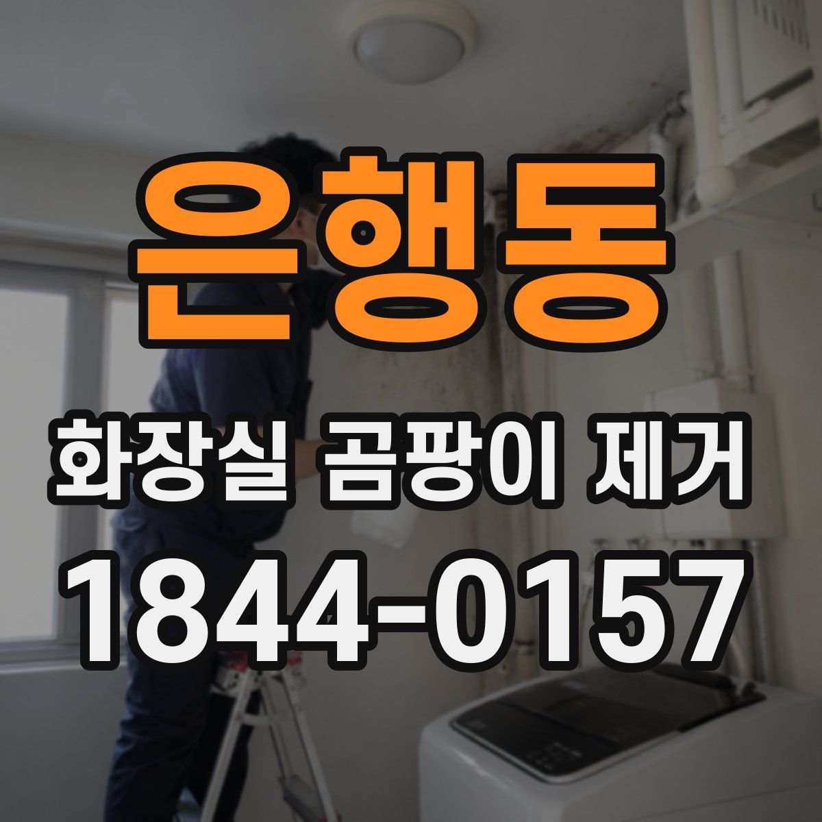은행동 화장실 곰팡이 제거