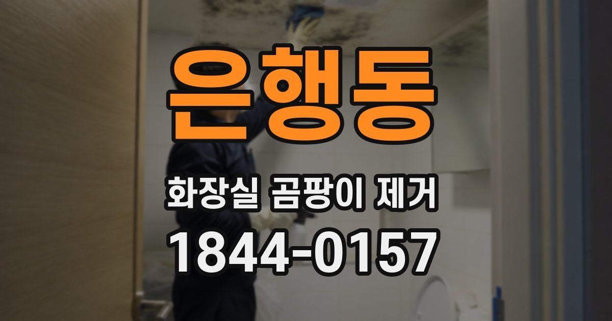 은행동 화장실 곰팡이 제거