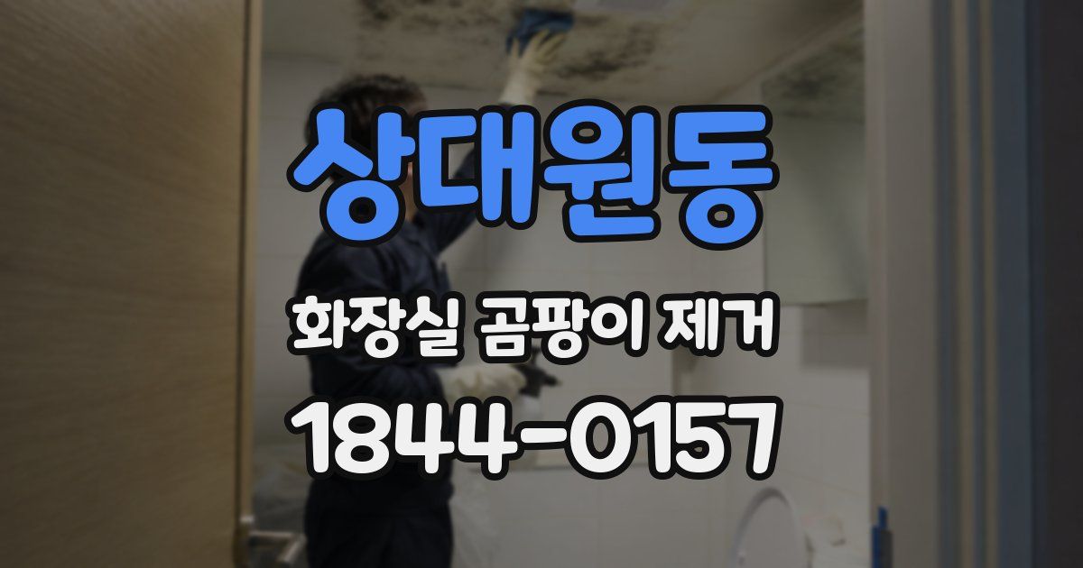 상대원동 화장실 곰팡이 제거