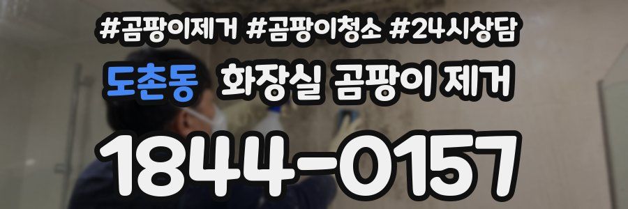 도촌동 화장실 곰팡이 제거