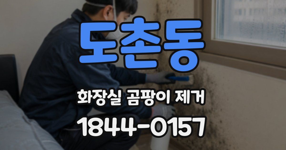 도촌동 화장실 곰팡이 제거