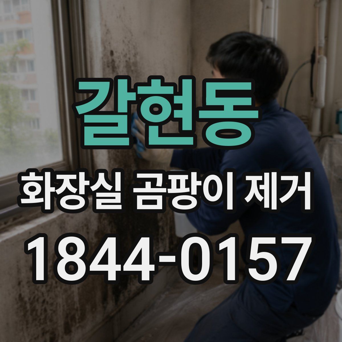갈현동 화장실 곰팡이 제거