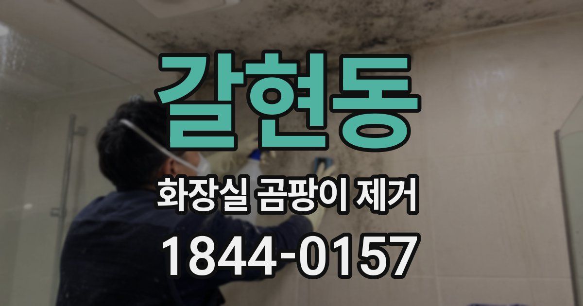 갈현동 화장실 곰팡이 제거