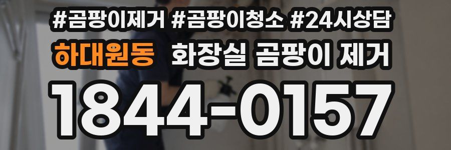 하대원동 화장실 곰팡이 제거