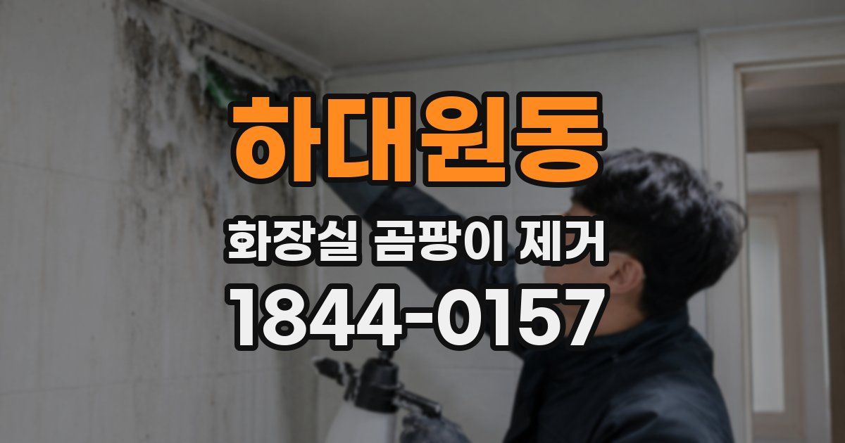 하대원동 화장실 곰팡이 제거