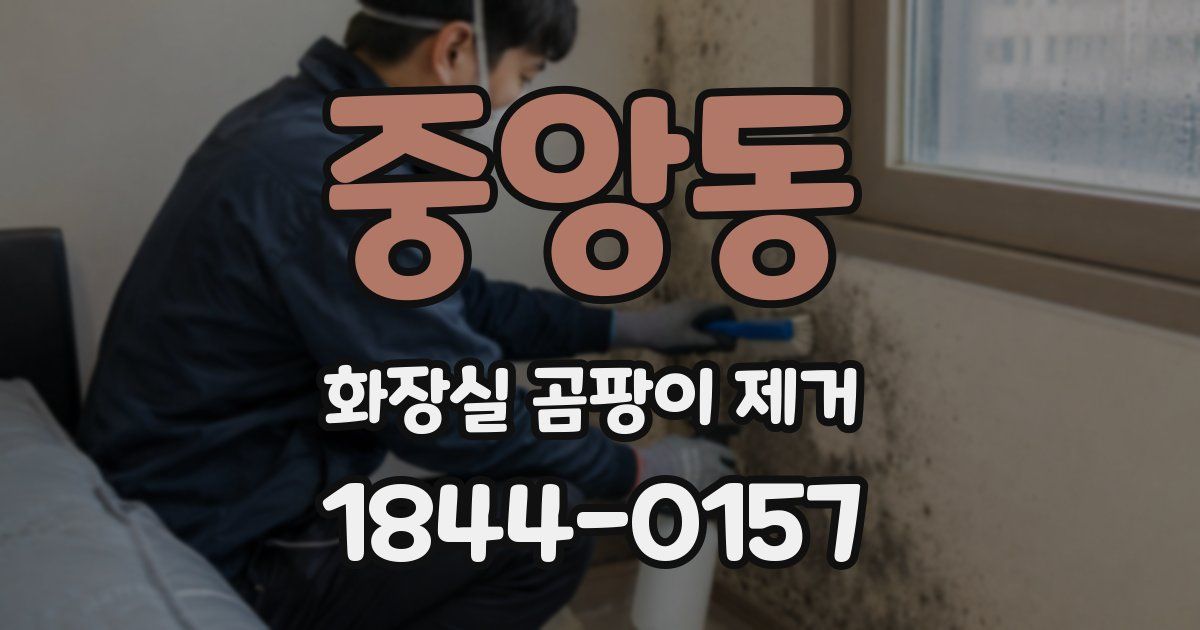 중앙동 화장실 곰팡이 제거