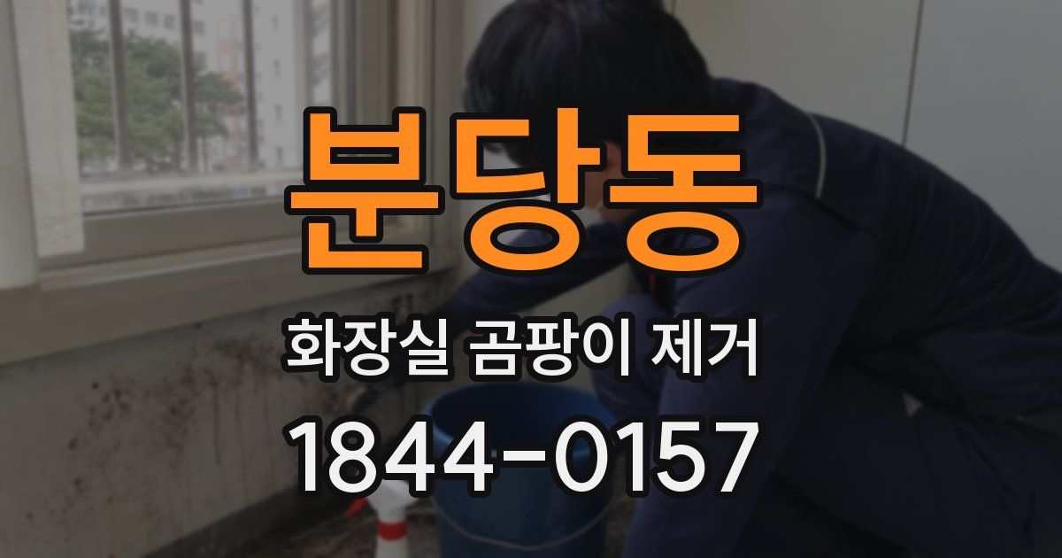 분당동 화장실 곰팡이 제거