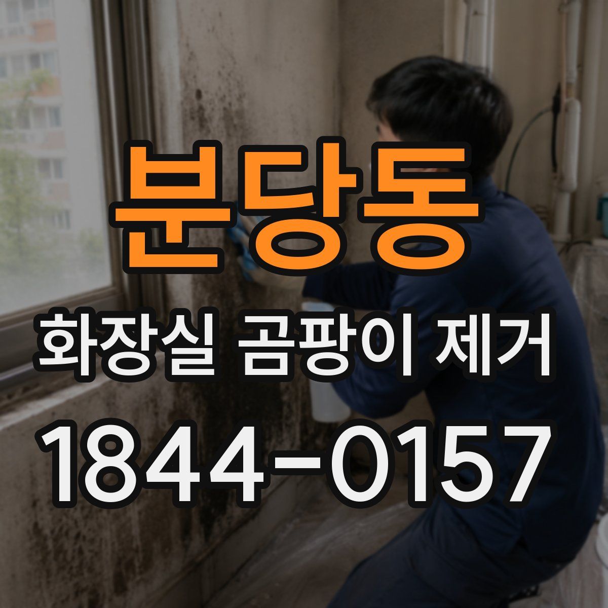 분당동 화장실 곰팡이 제거