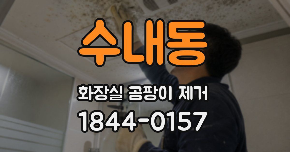 수내동 화장실 곰팡이 제거