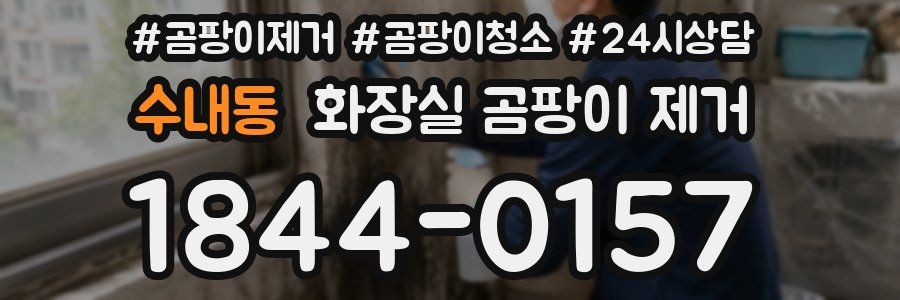수내동 화장실 곰팡이 제거