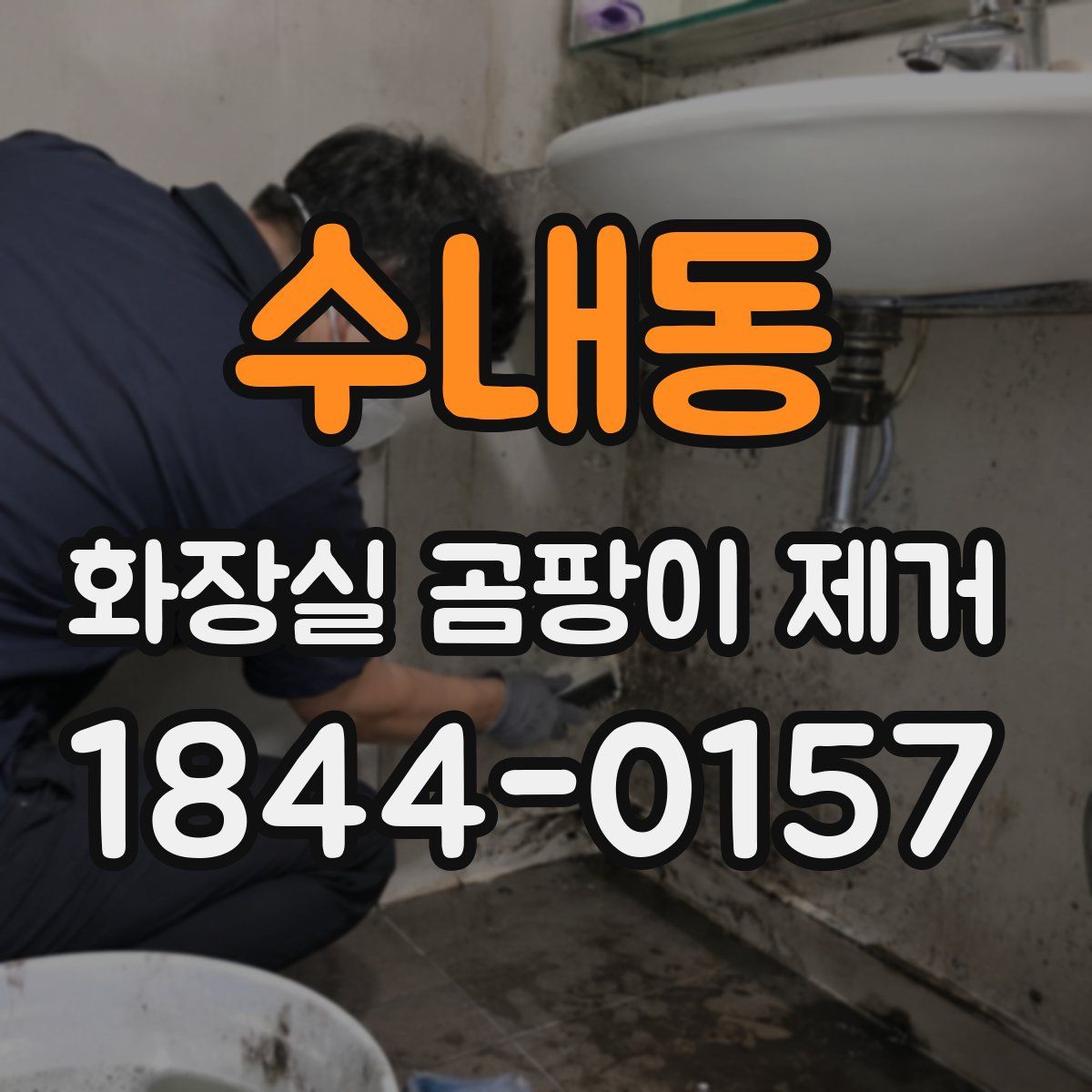 수내동 화장실 곰팡이 제거