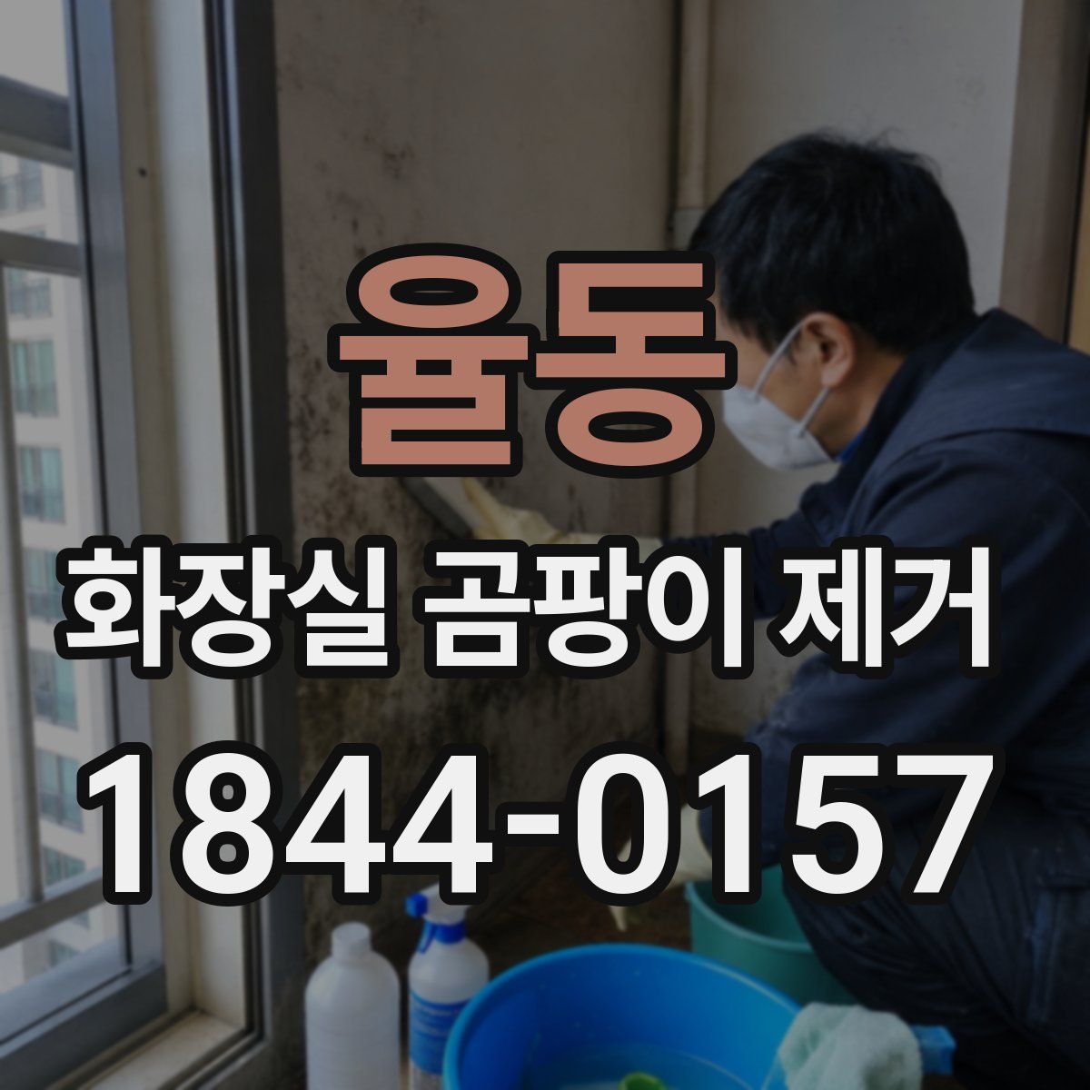 율동 화장실 곰팡이 제거