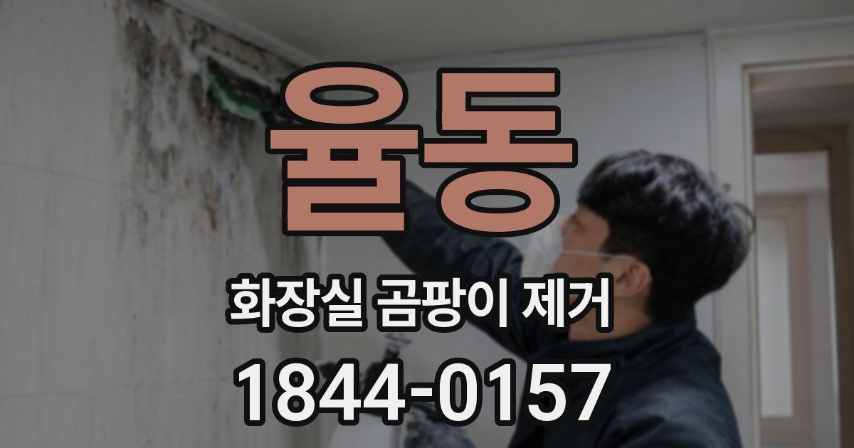 율동 화장실 곰팡이 제거