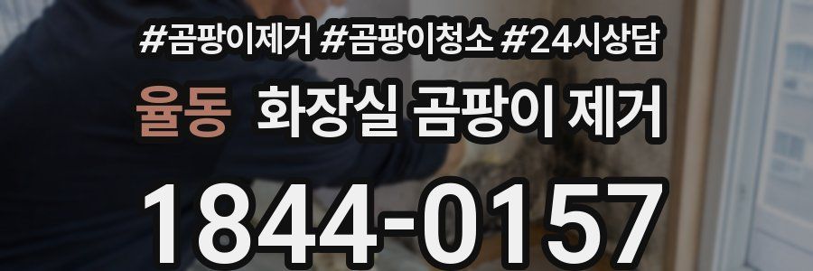 율동 화장실 곰팡이 제거