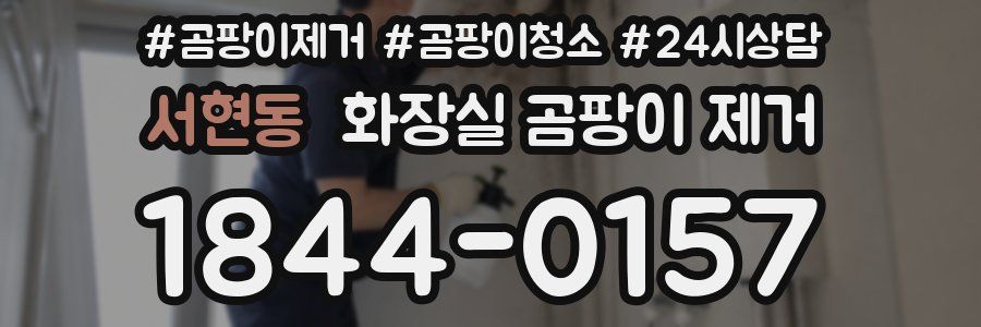 서현동 화장실 곰팡이 제거