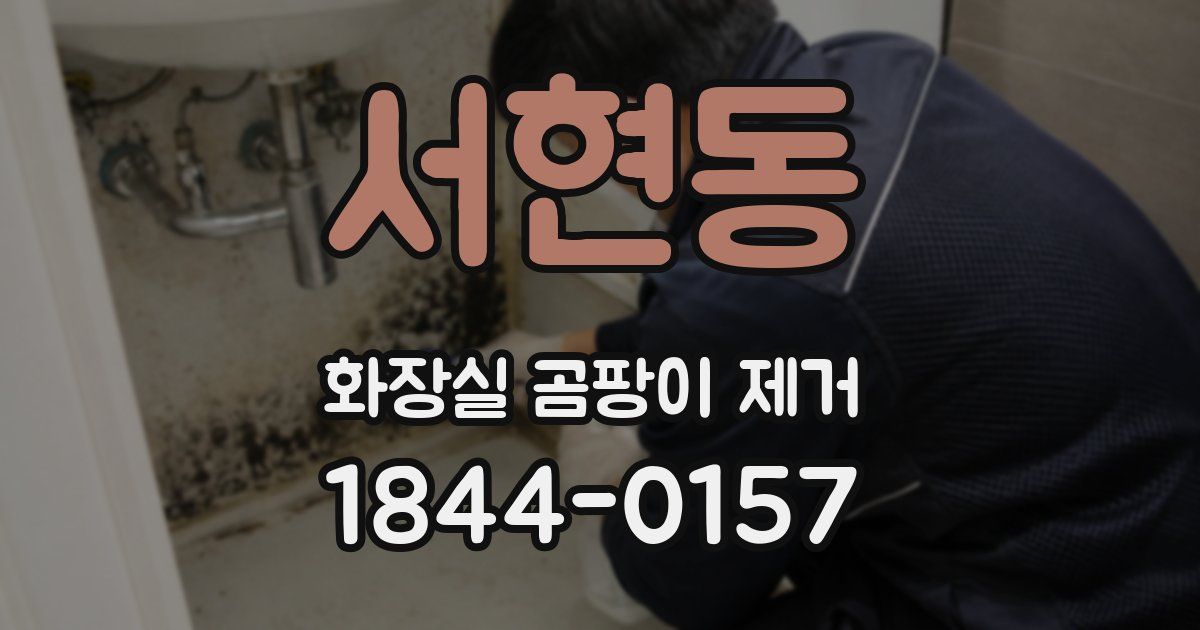 서현동 화장실 곰팡이 제거