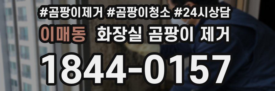 이매동 화장실 곰팡이 제거