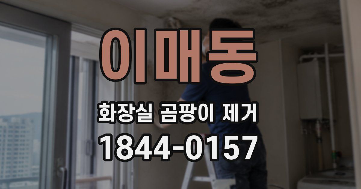 이매동 화장실 곰팡이 제거