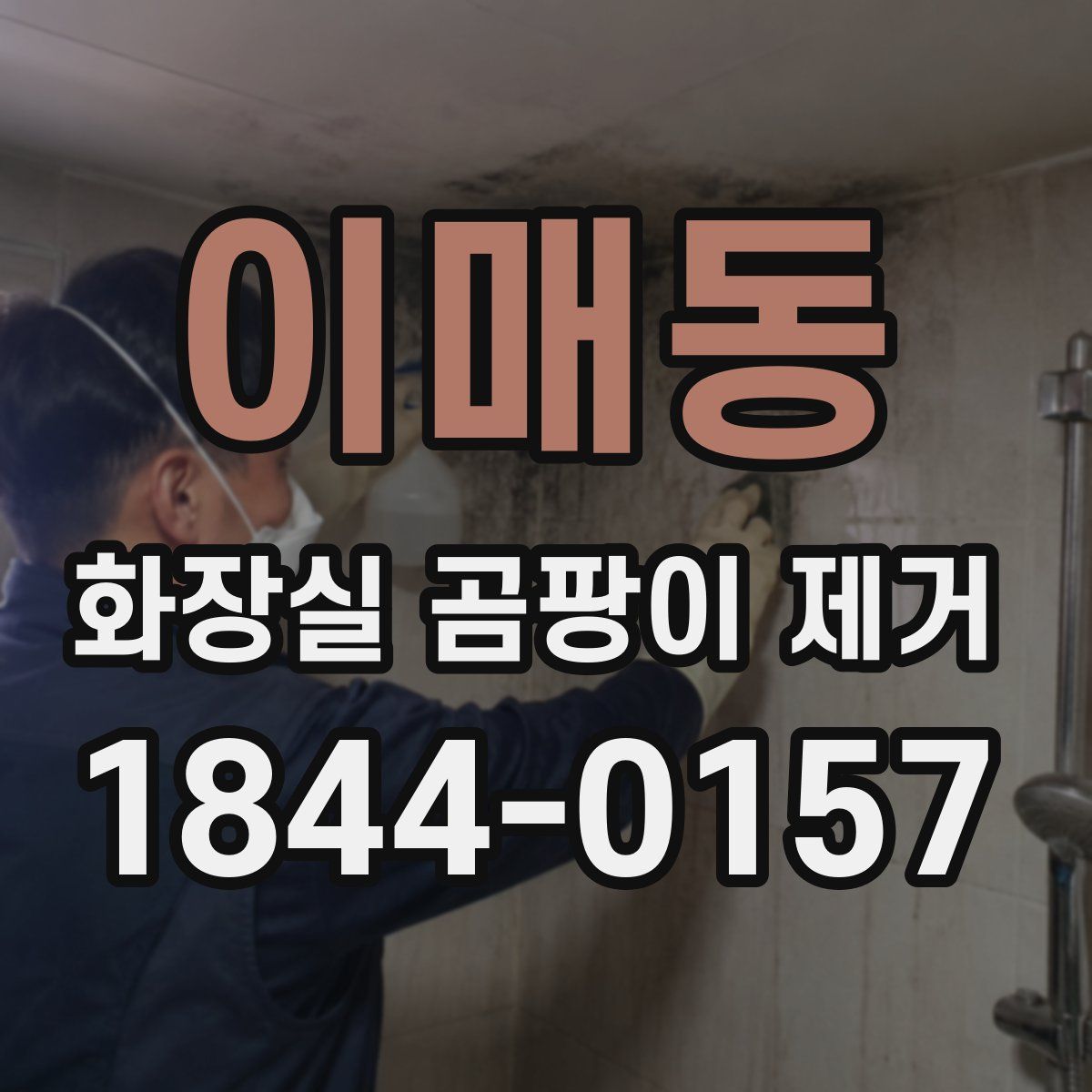 이매동 화장실 곰팡이 제거