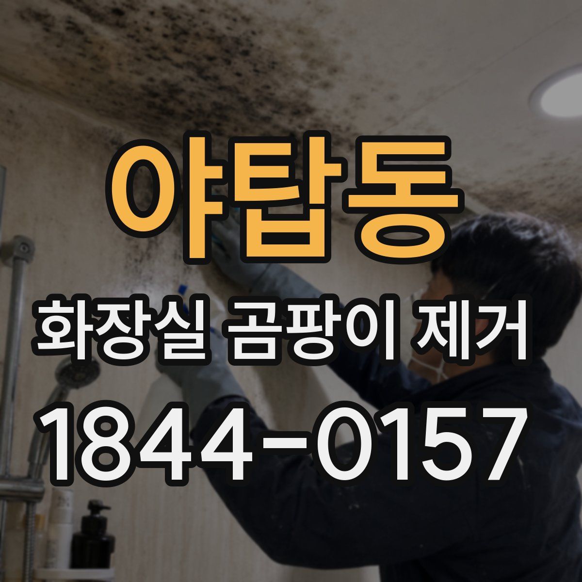 야탑동 화장실 곰팡이 제거