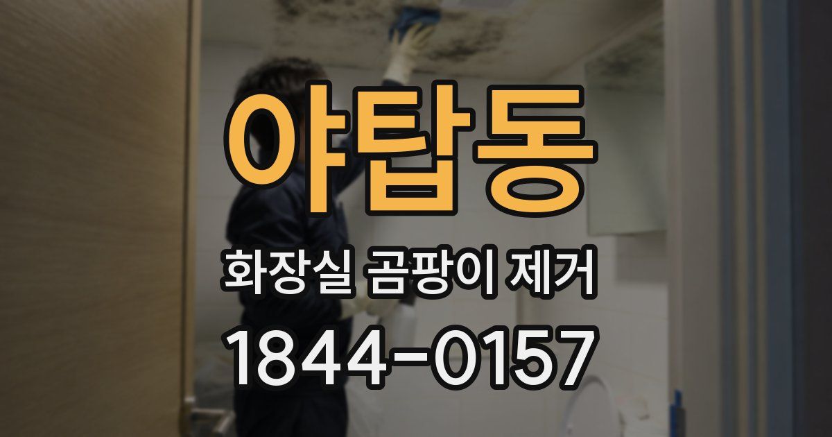 야탑동 화장실 곰팡이 제거