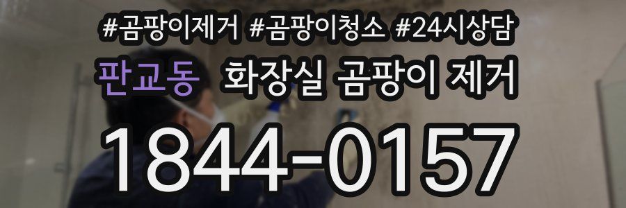 판교동 화장실 곰팡이 제거