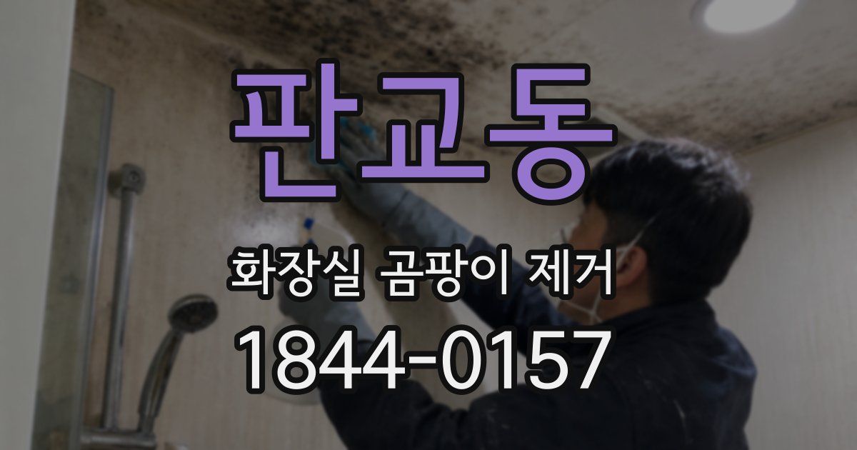 판교동 화장실 곰팡이 제거