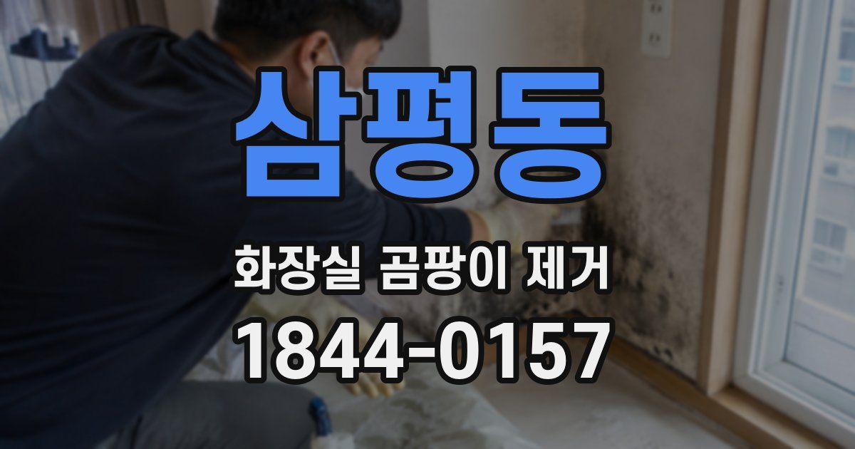 삼평동 화장실 곰팡이 제거
