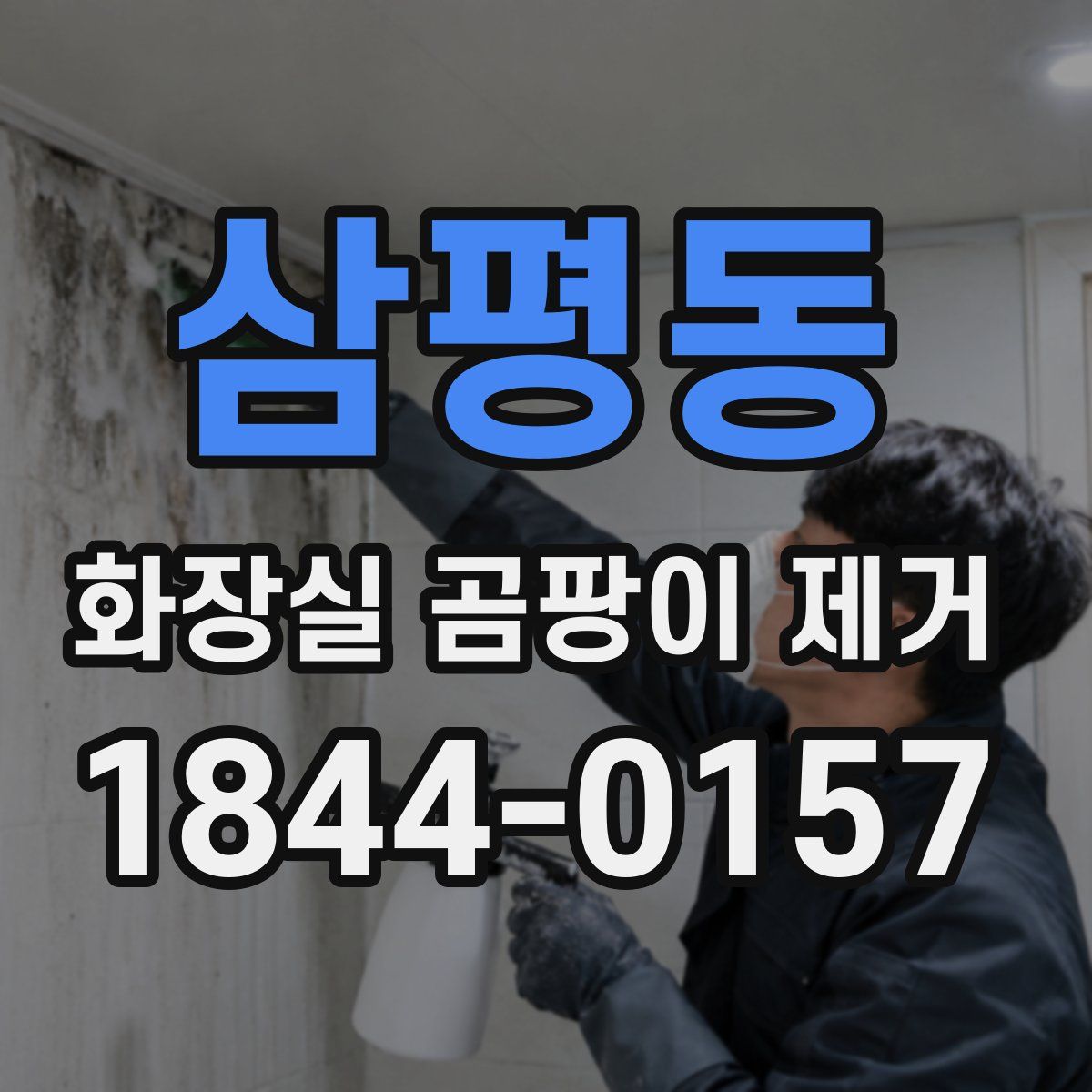 삼평동 화장실 곰팡이 제거