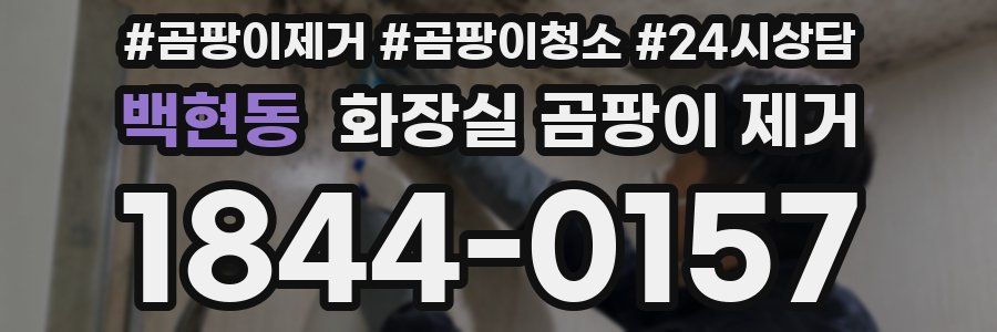 백현동 화장실 곰팡이 제거
