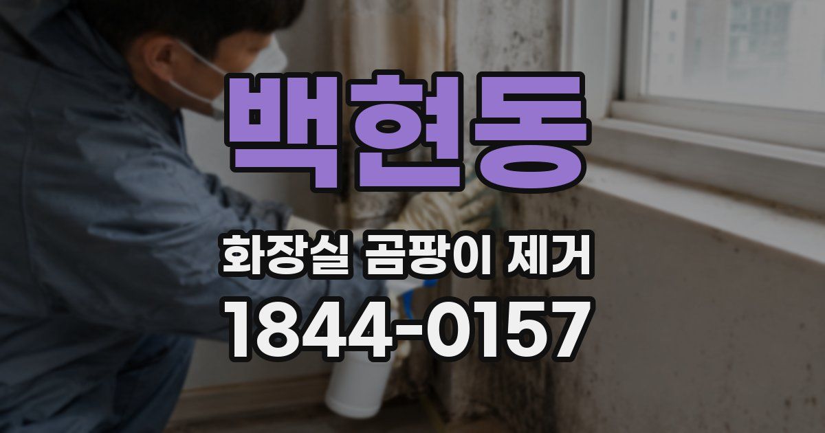 백현동 화장실 곰팡이 제거