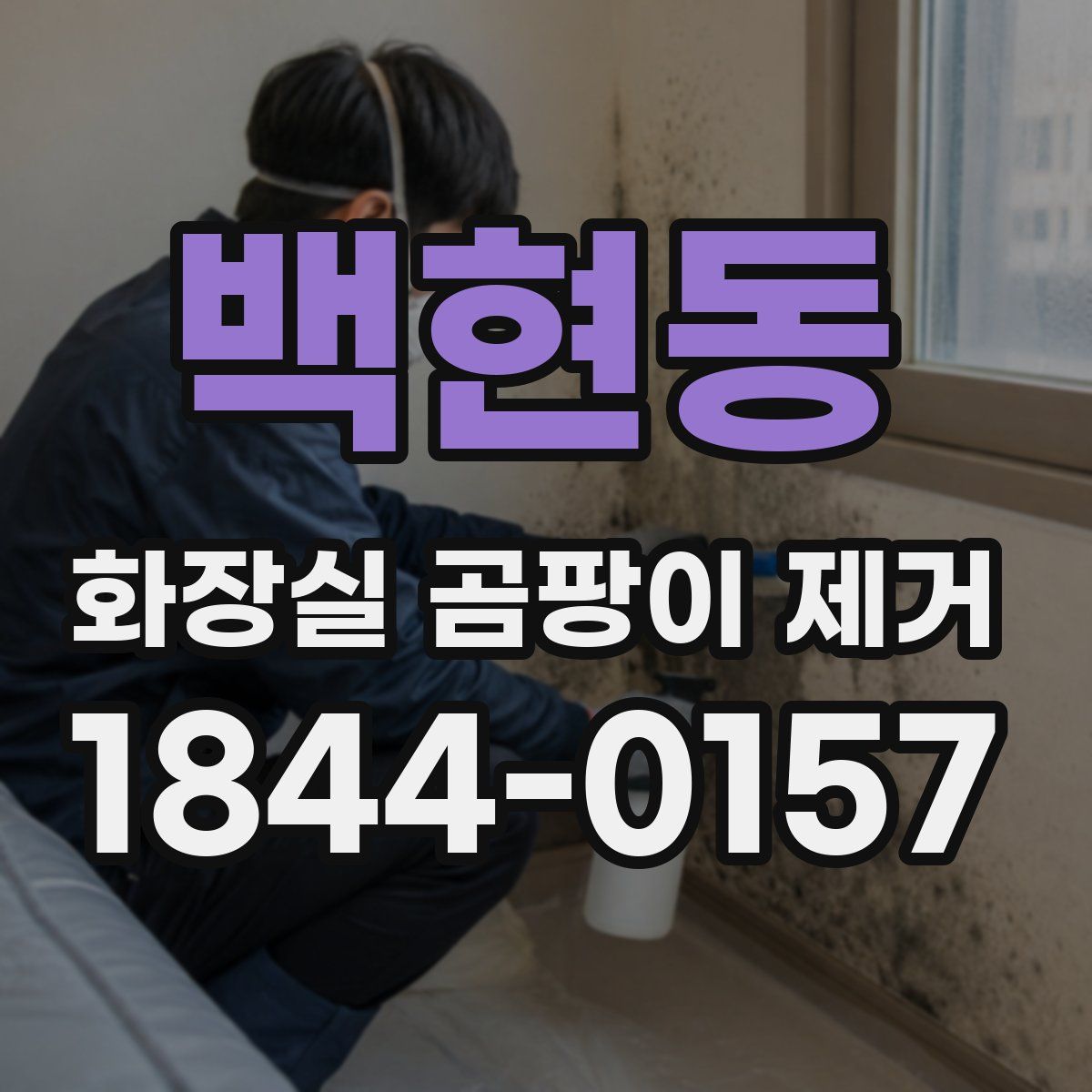 백현동 화장실 곰팡이 제거