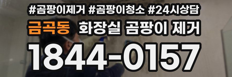 금곡동 화장실 곰팡이 제거