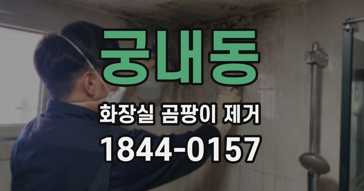 궁내동 화장실 곰팡이 제거