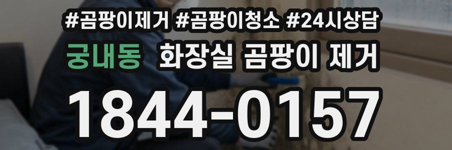 궁내동 화장실 곰팡이 제거