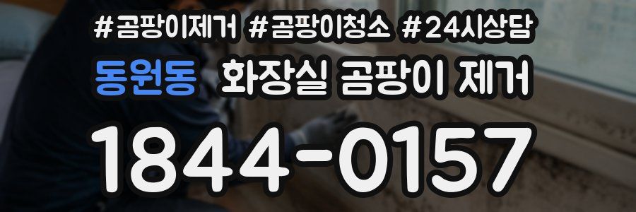 동원동 화장실 곰팡이 제거