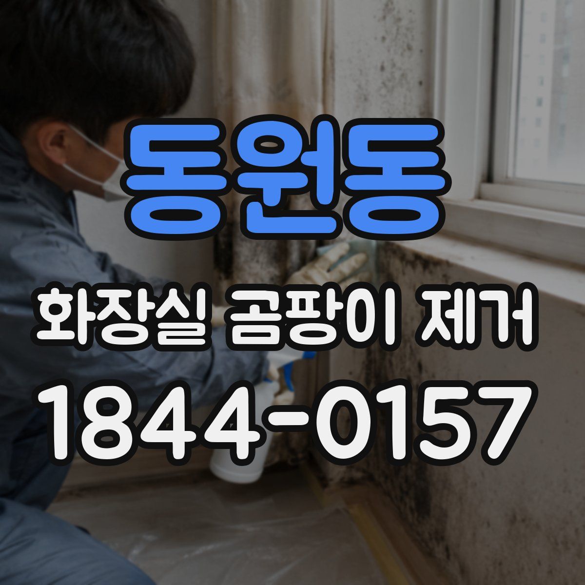 동원동 화장실 곰팡이 제거