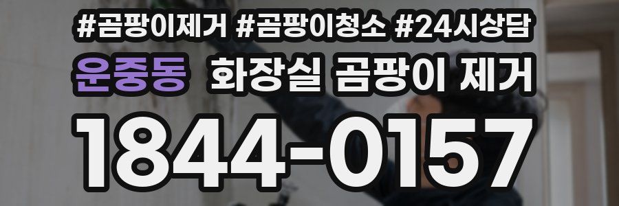 운중동 화장실 곰팡이 제거